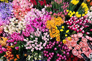 特别好评模拟建造游戏《船舶墓地模拟器2》新DLC“战舰”上架Steam商店